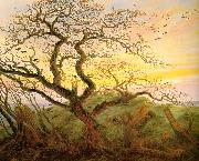Caspar David Friedrich Tree with crows oil painting reproduction